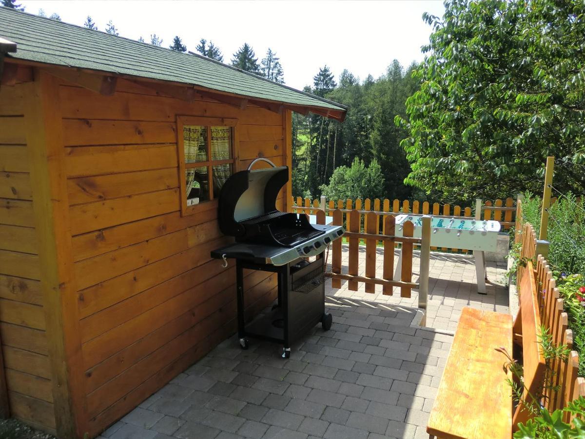Haus Bergfrieden Apartment Castelrotto